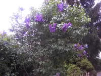 BILD1551.webp