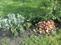 BILD1567.webp