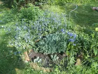 BILD1568.webp
