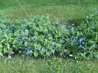 BILD1569.webp
