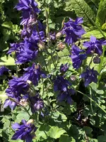 IMG_4344.webp