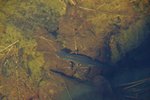 DSC08910.JPG