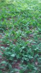 20200513_133412.jpg