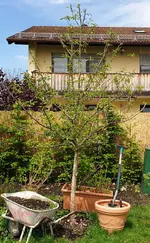 20200516_213250.webp