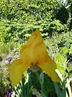 20200516_165008.webp