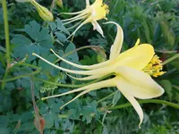 DSC00999.webp