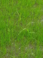 20200517_105439.webp
