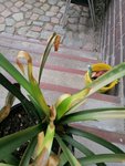 IMG_20200517_164326.jpg