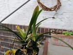 IMG_20200517_164332.jpg