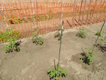 IMG_20200517_135630.jpg