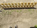 IMG_20200517_135926.jpg