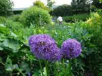DSC01008.JPG