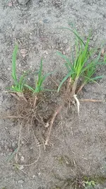 20200516_141018.webp 20200516_141018.webp