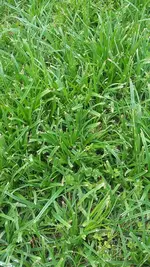 20200516_141030.webp 20200516_141030.webp