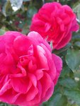 20200517_195426.jpg