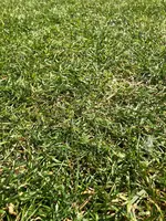 IMG_3731.webp