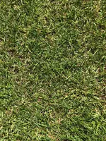 IMG_3733.webp
