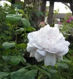 IMG_3841.webp