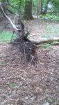 20200513_133904.jpg