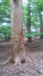 20200513_134215.jpg