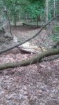 20200513_134448.jpg