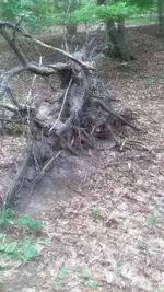 20200513_134546.webp
