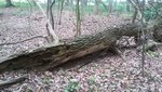 20190517_141741.jpg