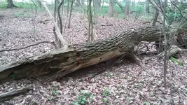 20190517_141741.jpg