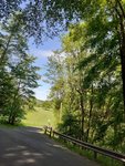 IMG-20200519-WA0011.jpg