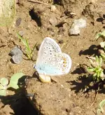 P1050240.webp