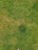 20200520_110416.jpg