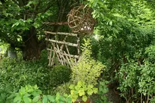 Mai  1120.webp