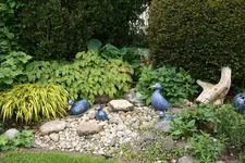 Brunnen0720.webp