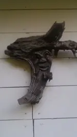 Waldgeist.webp