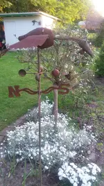Wettervogel.webp