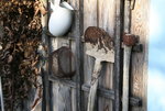 Assesoires0715.JPG