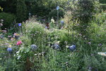 August0115.JPG