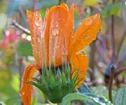 IMG_4285 v (2).webp