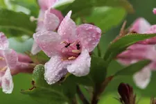 image001.webp