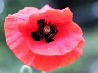 image004.jpg