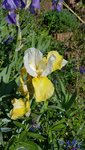 20200521_090532.jpg