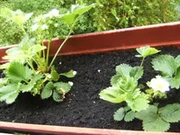 BILD1558.JPG