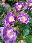 20200520_180523.jpg