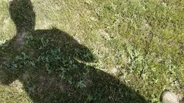 20200521_114452.webp