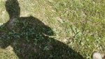20200521_114452.jpg