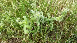 1590064406817_JPEG.webp