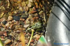 comp_DSC08936.webp