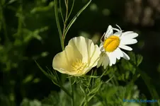 comp_DSC08939.webp
