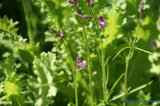 comp_DSC08940.webp