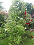 20200522_113027.jpg